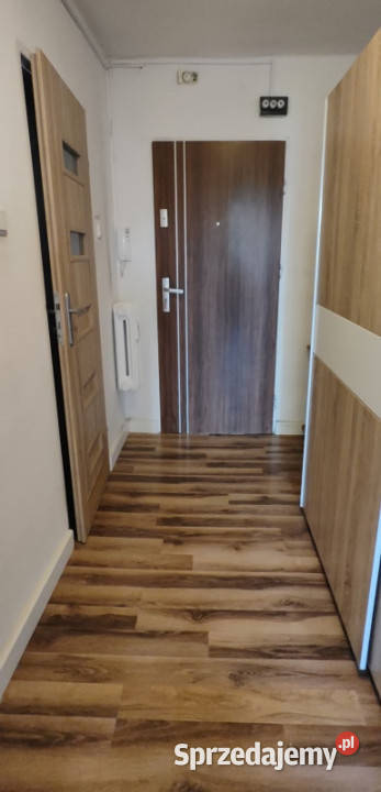 Do wynajęcia mieszkanie 2 pokoje z balkonem 49m2
