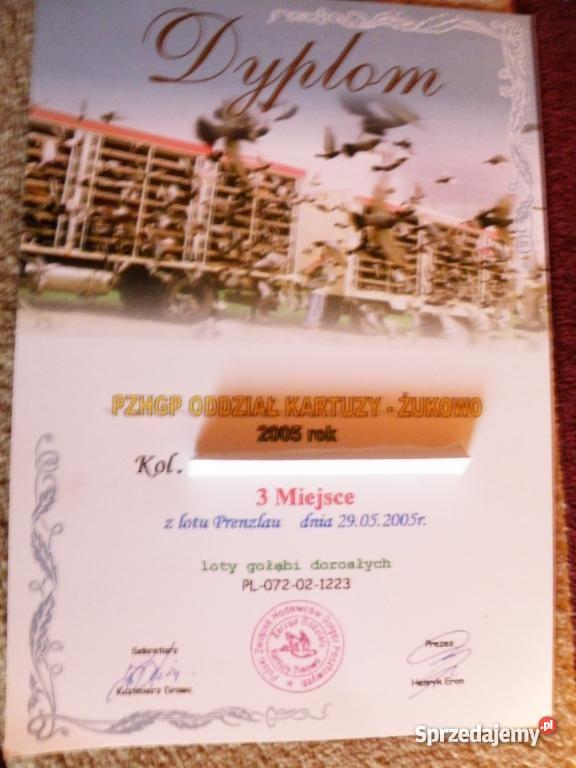 kury ozdobne Łapalice