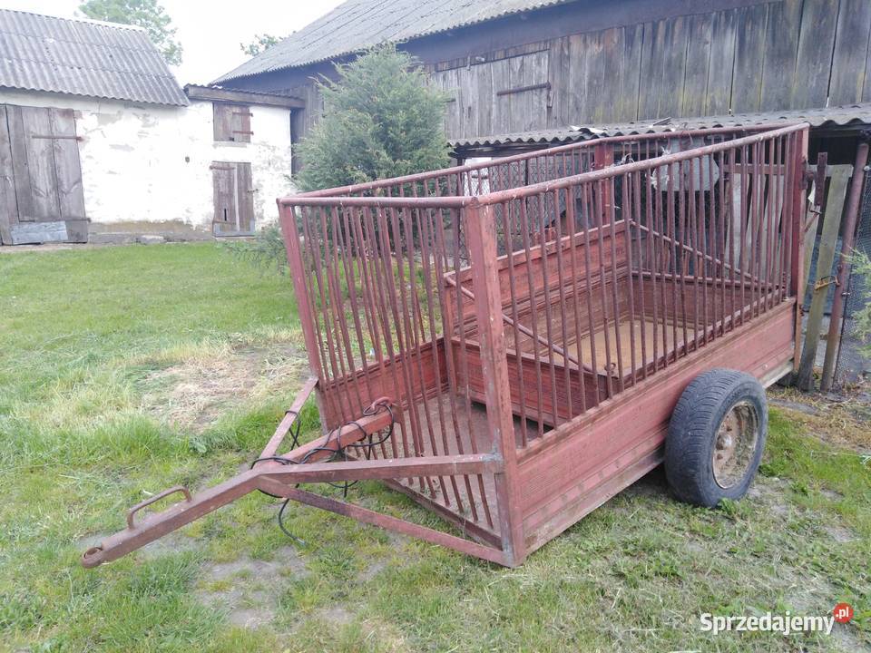 Klatka do przewozu zwierząt Łęczna sprzedam