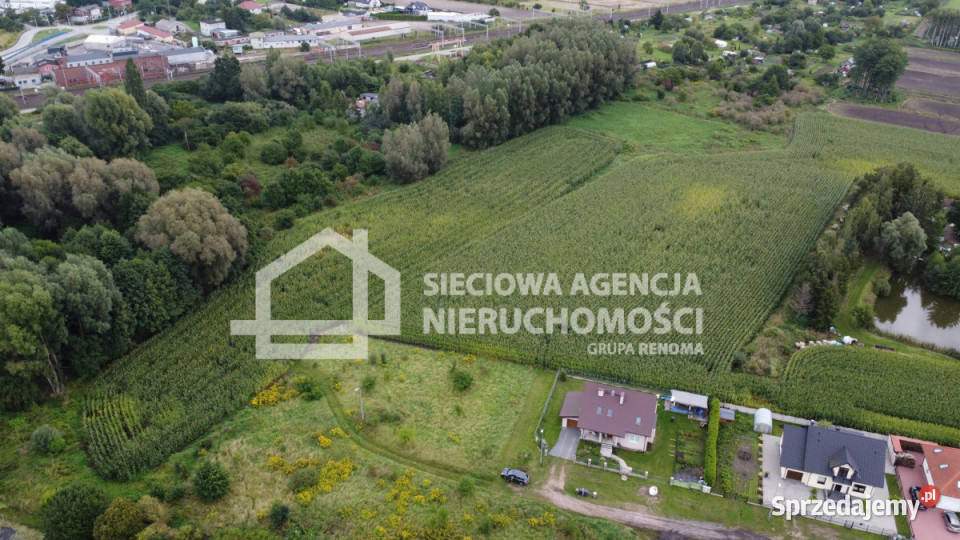 Działka Pszczółki 8228m2