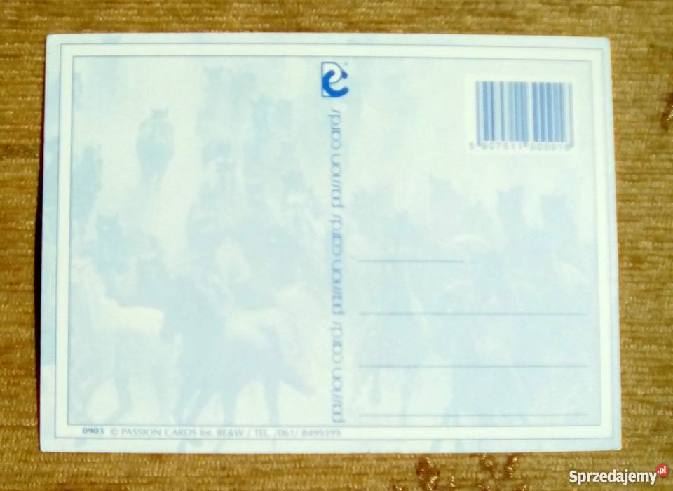 KOŃSKIE ZABAWY KOŃSKA MIŁOŚĆ Piszczac