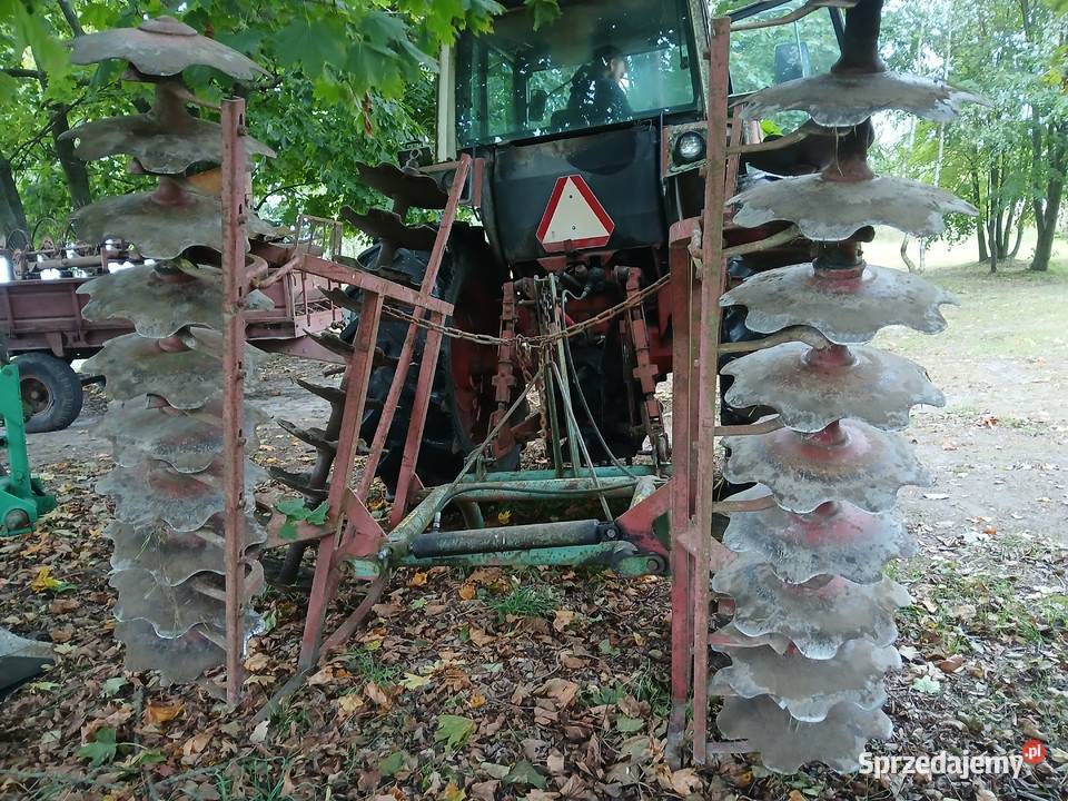 talerzówka nieuszkodzony Sławatycze