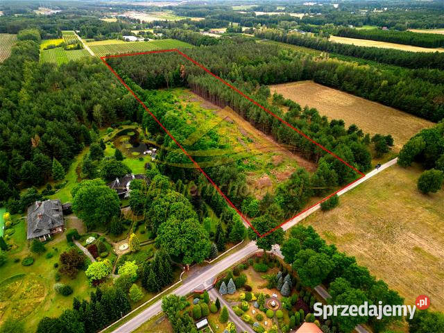 Grunt Żabia Wola 3000m2 Nieruchomości sprzedam