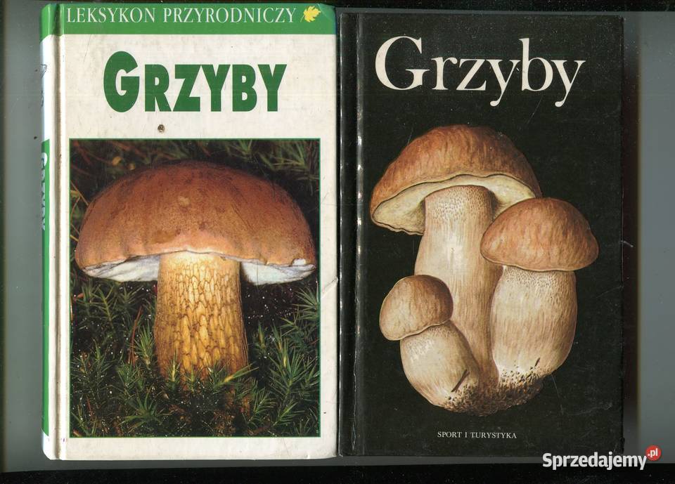 Leksykon przyrodniczy Grzyby Grunert Grzyby Szczecin