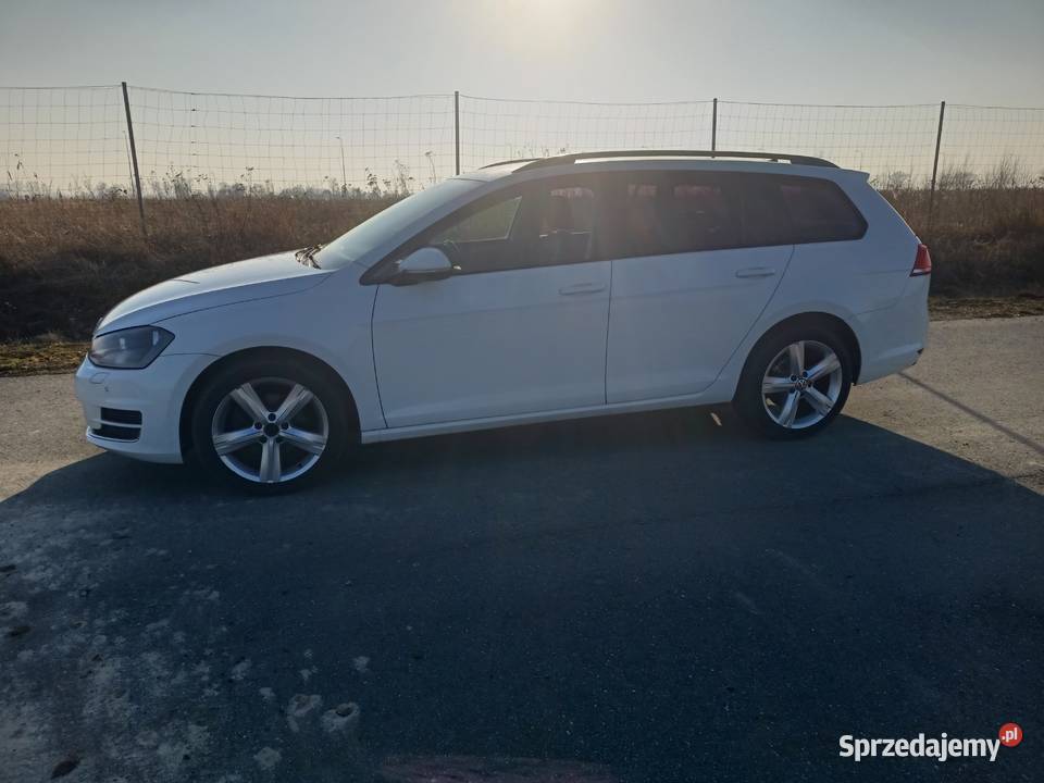 volkswagen golf 7 16 TDI Samochody osobowe Stegna