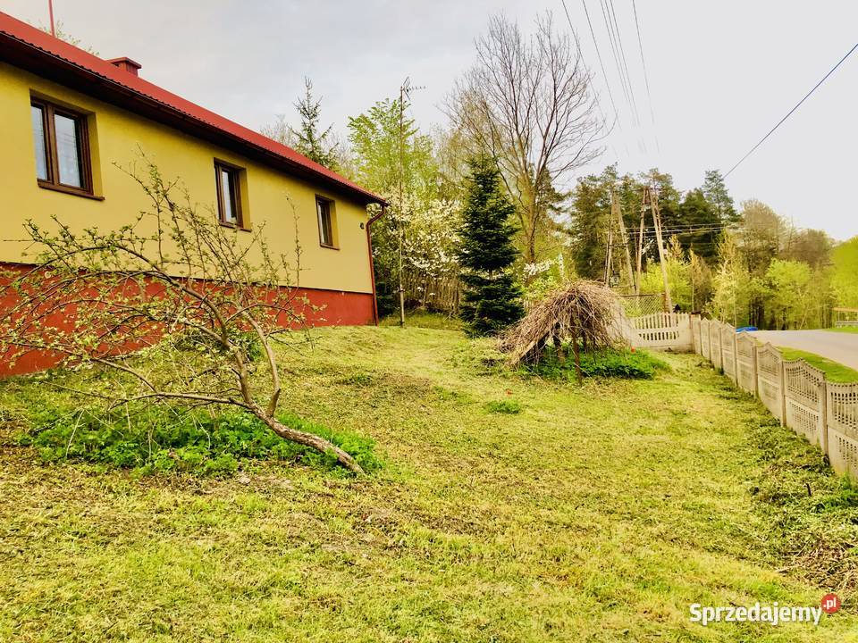 Agroturystykastadnina koni 561 ha z lasem Łówcza