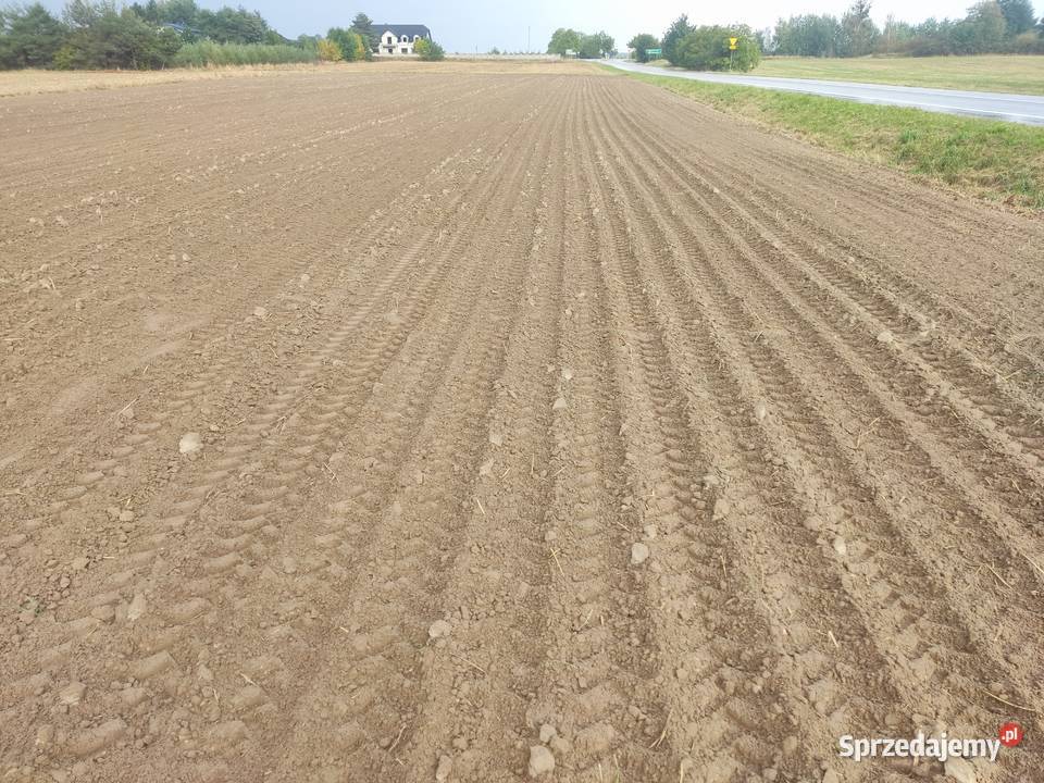 siewnik talerzowy kongskilde z nawozem nieuszkodzony Siewniki i sadzarki Chełm