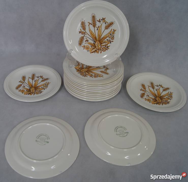 Rustykalny talerz obiadowy płytki Chojnice