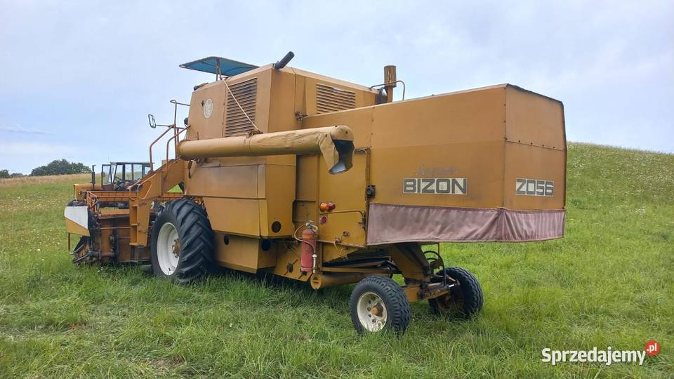 Bizon super Z056 pomorskie Kramarzyny