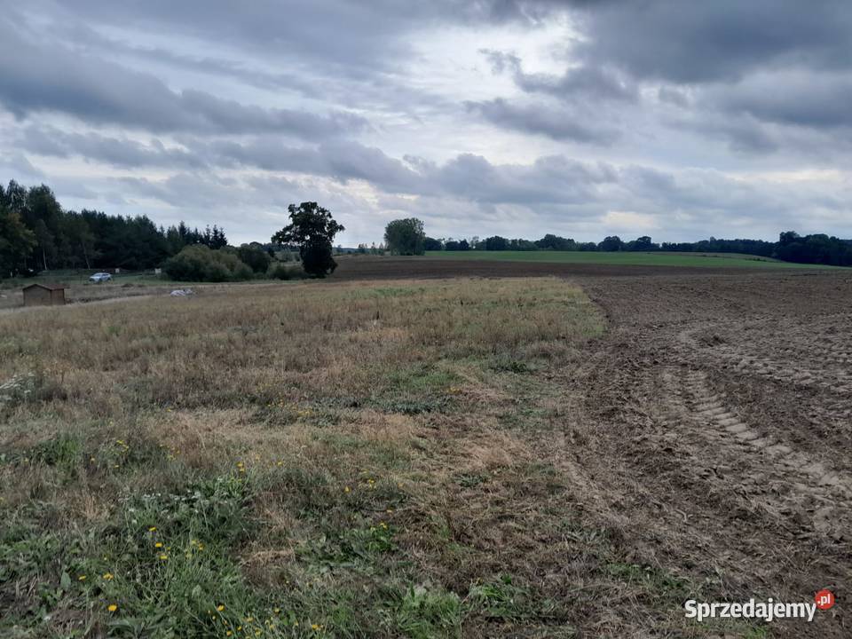 Sprzedam działki Budowlane w miejscowości Międzyrzecz