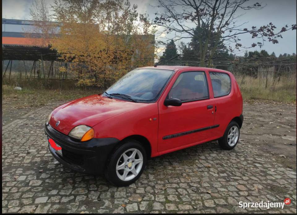 Fiat Seicento Sejko ewzamianka wielkopolskie Śrem