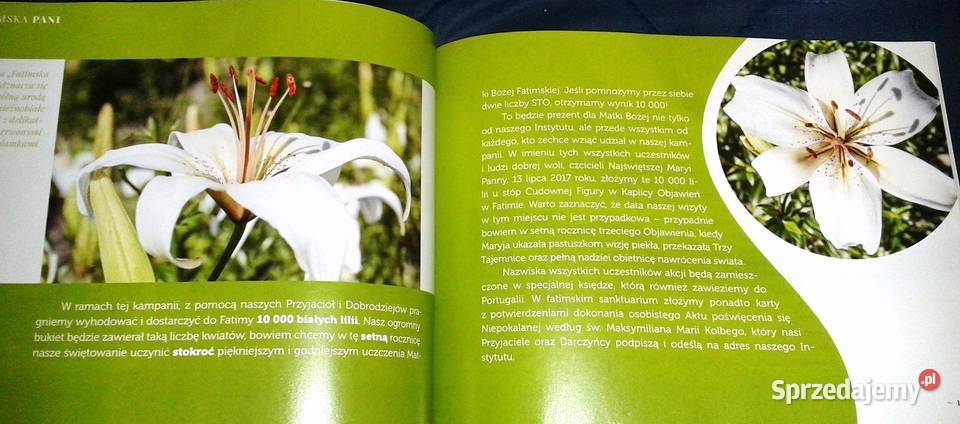 Fatimska Pani Fatima 100 lat objawień Maryi miękka Chełm sprzedam