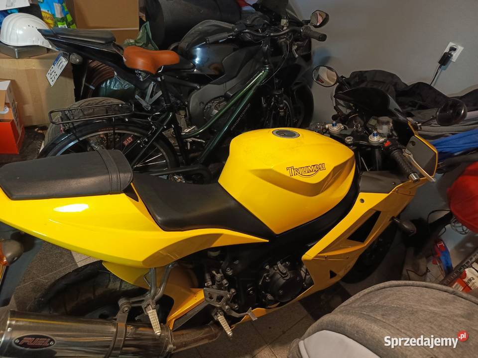 Triumph Daytona 600 Gaj