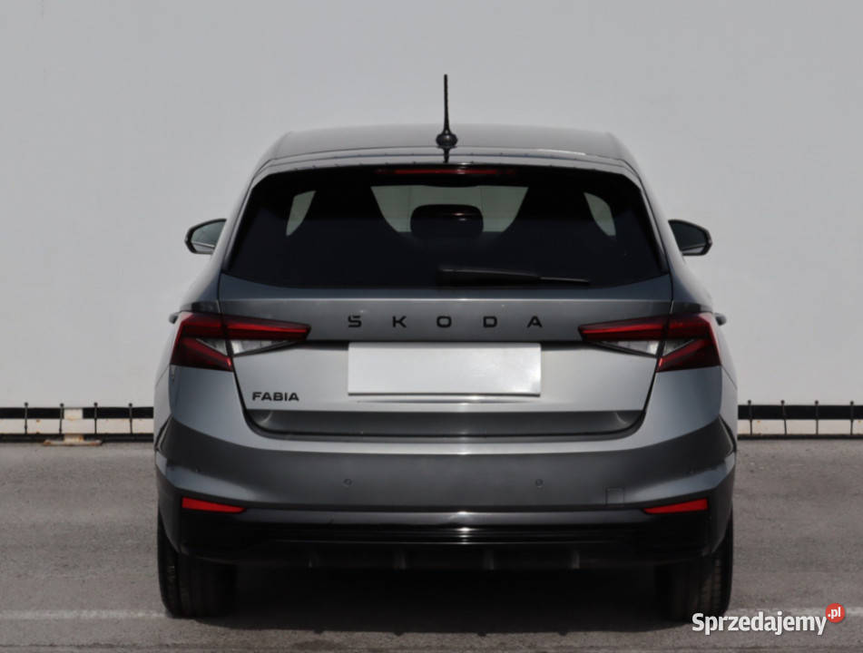 Skoda Fabia 10 TSI wielofunkcyjna kierownica Lublin