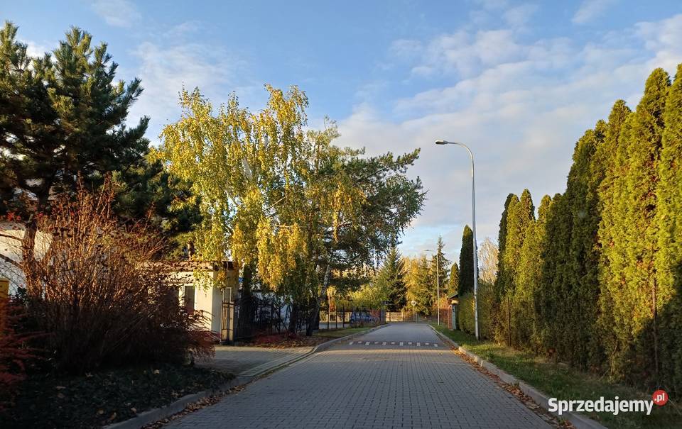 Działka 1050 m Rusiec cisza szkoła 700 m media 3