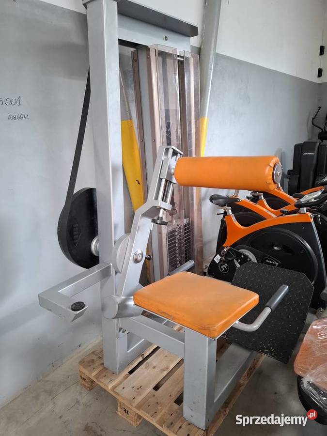 Profesjonalna maszyna na prostowniki pleców Wałcz