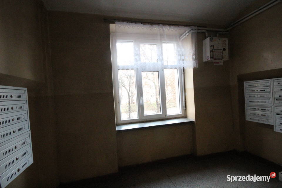 2pok 54met Jemiołowej PIWNICA Wrocław 10000zł/m2