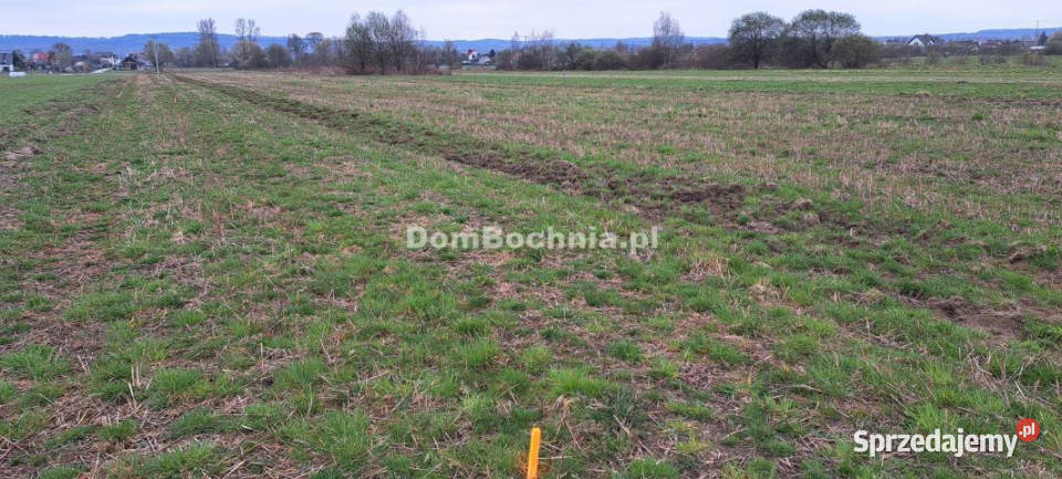 Działka Jodłówka 8587m2 Sprzedaż