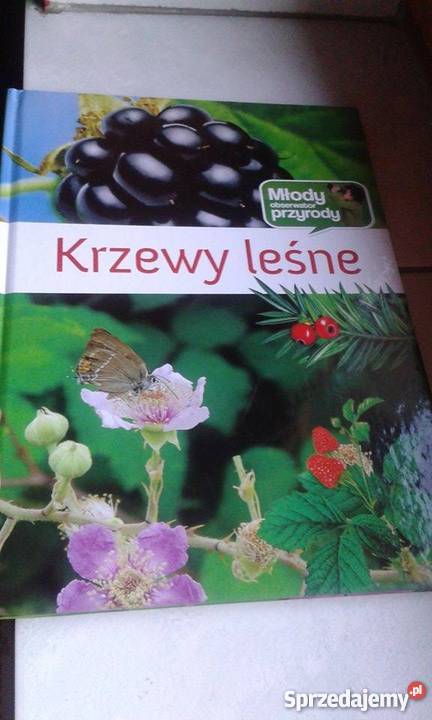 Krzewy Leśne Książka dzieci dla dzieci z klas IV-VI (10-12 lat)  Wieprz