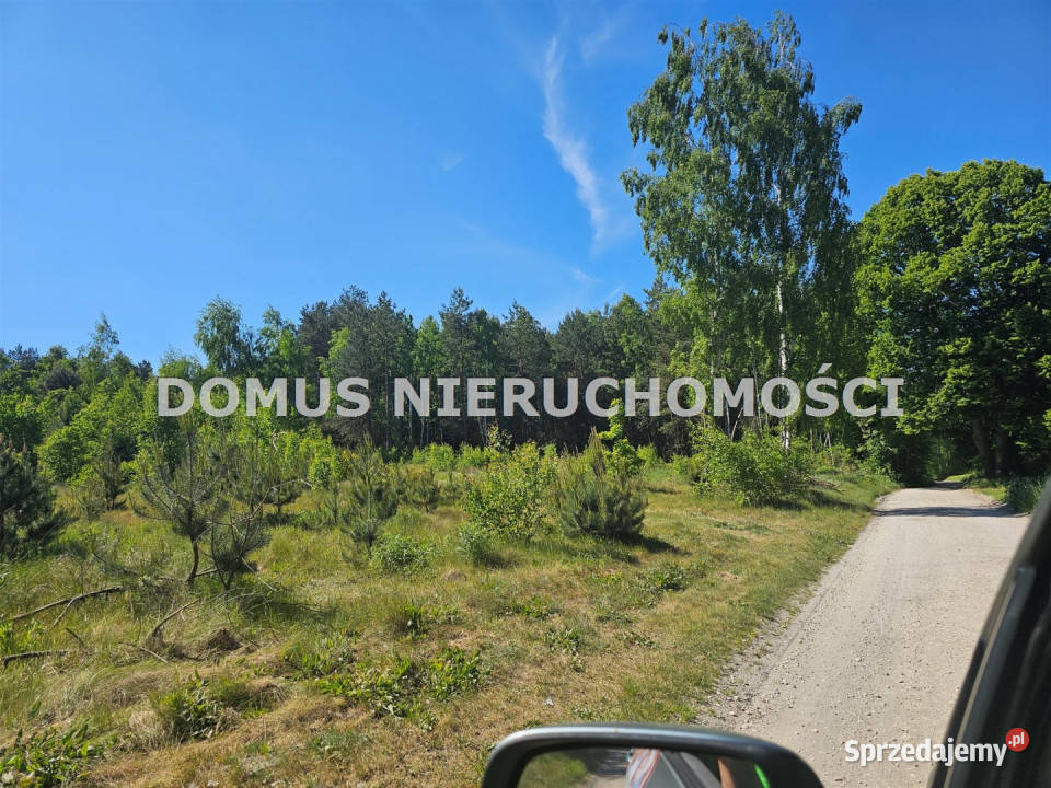 sprzedaży gruntu 22000m2 Brzeziny Grunty i działki łódzkie