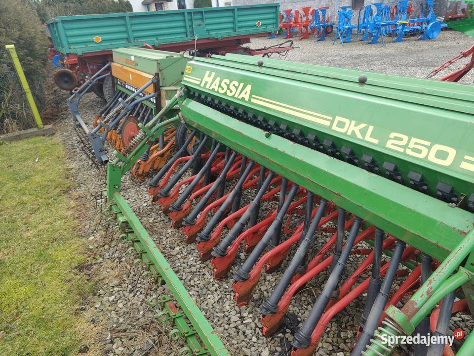 Siewnik Amazone Hassia śląskie Golasowice