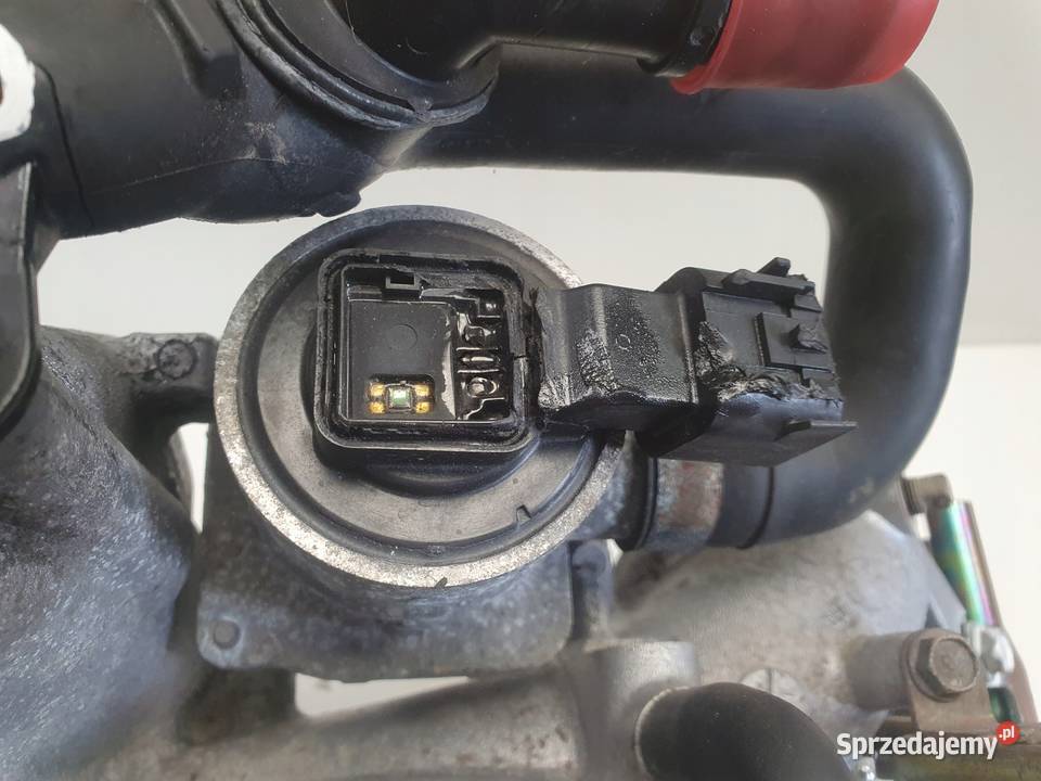 Subaru Impreza Legacy 20 i KOLEKTOR SSĄCY Rudka