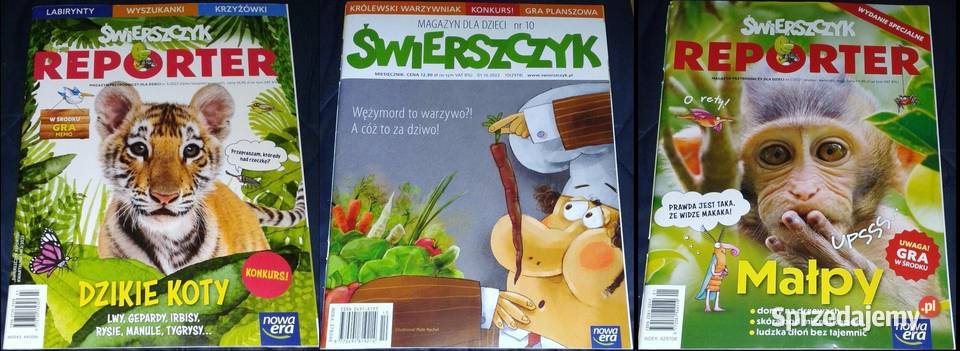 Świerszczyk Magazyn dzieci 9 Chełm
