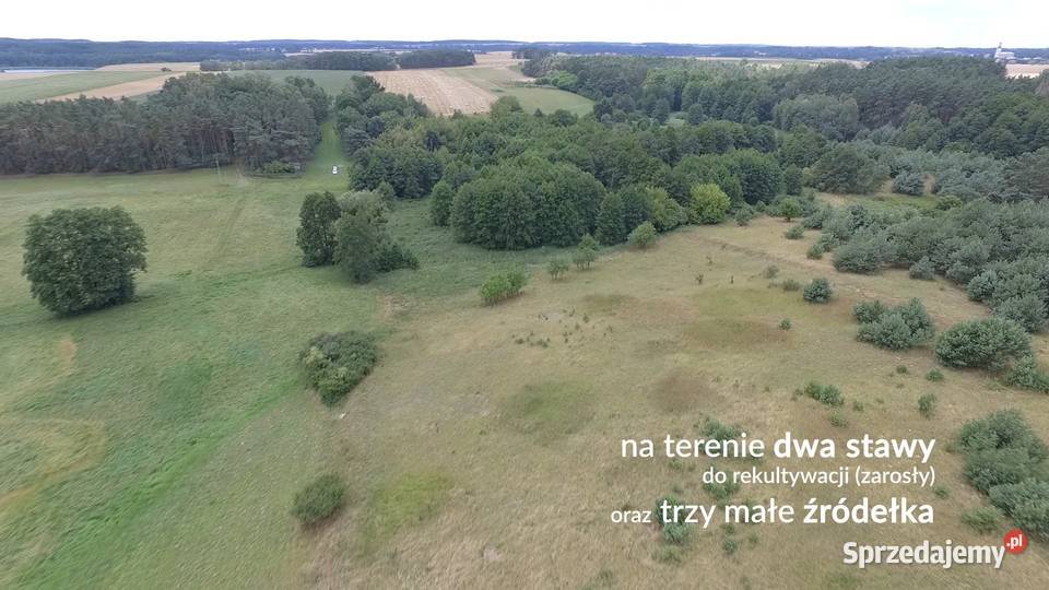 Ziemia agroturystyka stawy rezydencja działki budowlana Sieraków