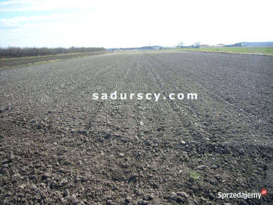 Działka Nowa Wola 4400m2 400zł/m2