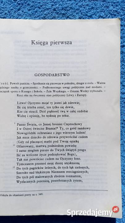 Pan Tadeusz Adam Mickiewicz lektura mazowieckie Małkinia Górna