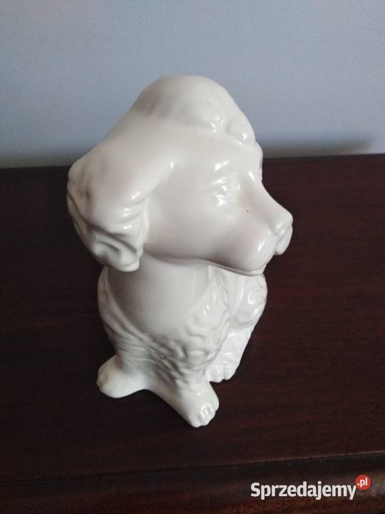 Pereiras Portugal porcelanowa figurka psa Miejsce Piastowe sprzedam