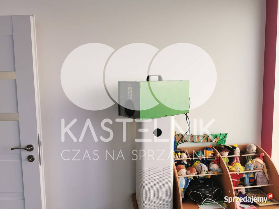 Odgrzybianie ścian Lipno Kastelnik Usuwanie Utrzymanie czystości