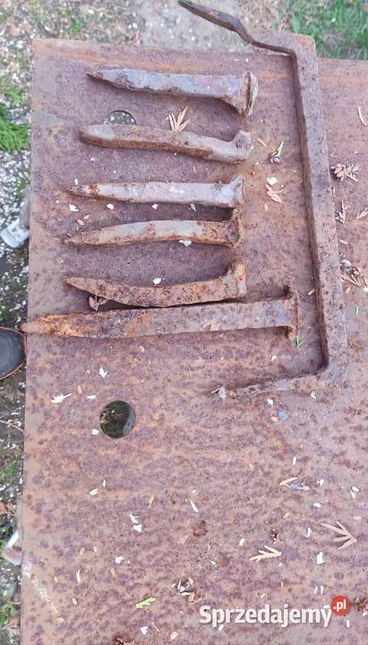 Zawiasy drzwi 100letnie wielkopolskie