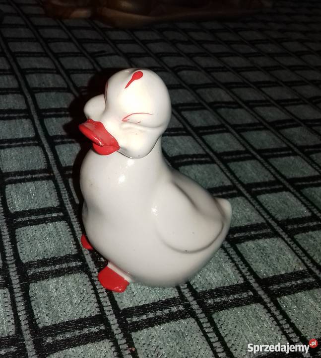 Śliczna kaczuszka