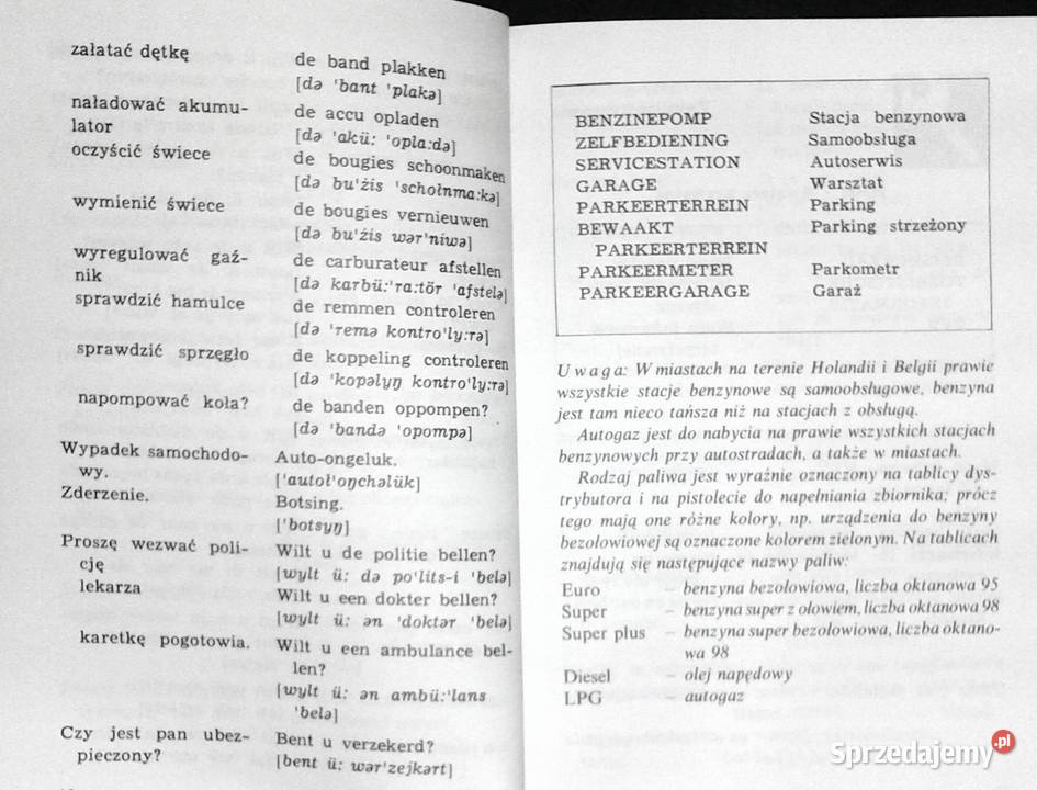 Minirozmówki niderlandzkie Lisetta Stembor Alina sprzedam