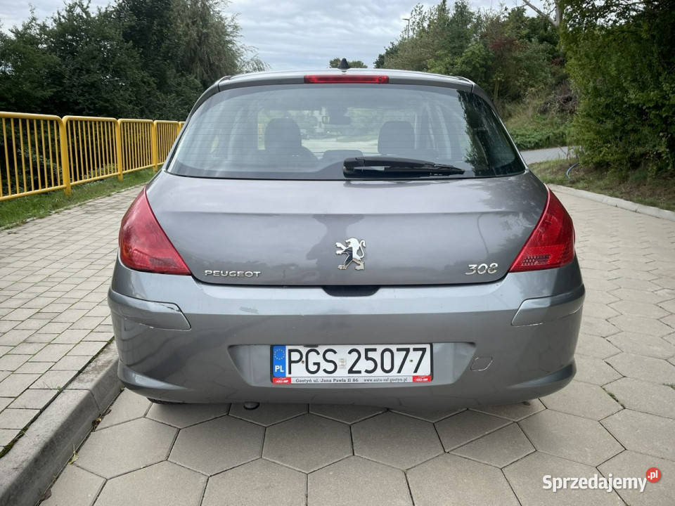 Peugeot 308 Peugeot 308 16 benzyna