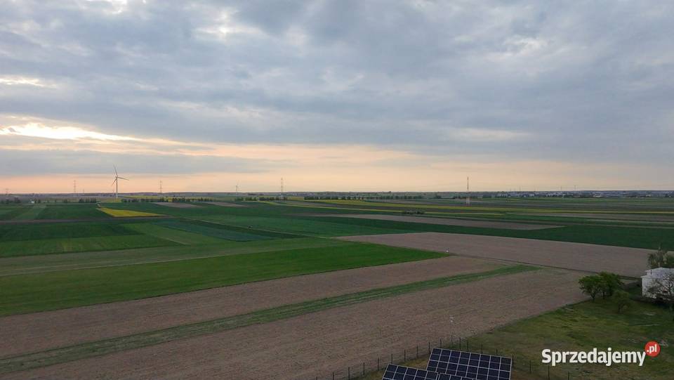 Działki budowlane na sprzedaż Kotunia gm Słupca Sprzedaż