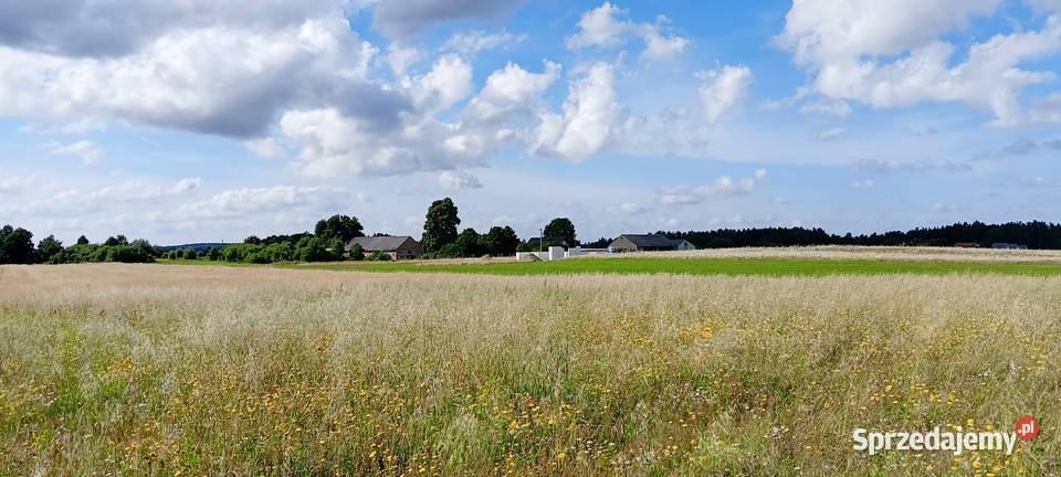 Działka w Gowinie k Wejherowa budowlana Sprzedaż Gowino sprzedam