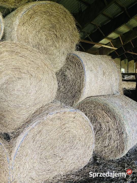 SIANO EKOLOGICZNE podkarpackie Straszydle sprzedam