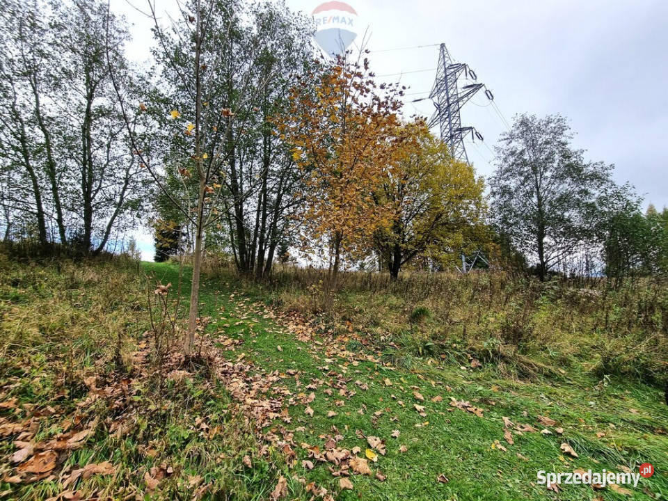 Domek rekreacyjny Krościenko Dunajcem Liczba pokoi 2 Krościenko nad Dunajcem