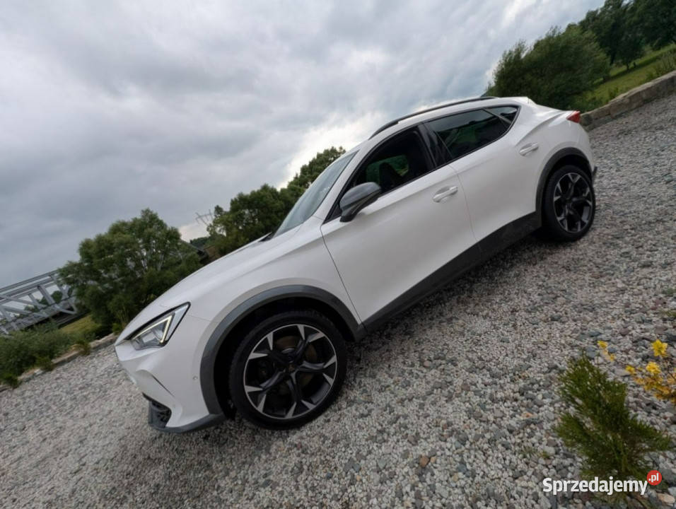 Cupra Formentor 310 4x4 ambiente dolnośląskie Kamienna Góra