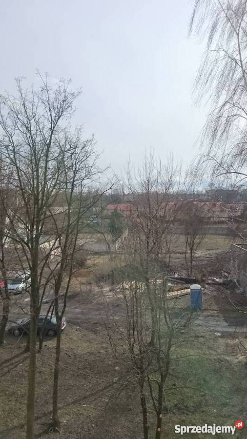 Będzin Ksaweramieszkanie 4532m2 kapitalnym sprzedam