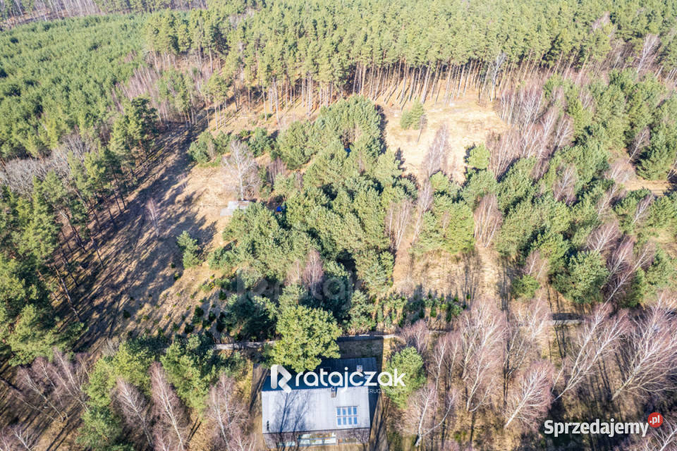 Grunt na sprzedaż 9751m2 Sasino Stara Cegielnia