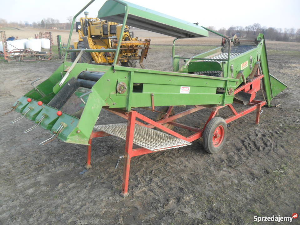 sortownik do ziemniaków cebulu remprodex Brodnica