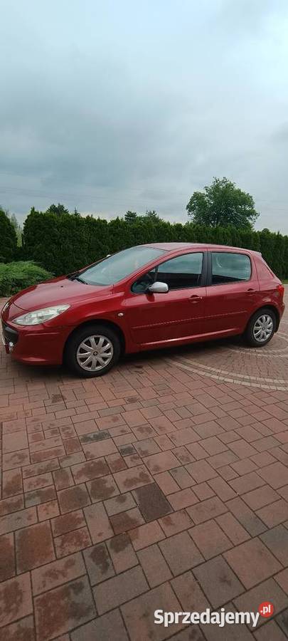 Peugeot 307 20 benzyna 140 153 przebieg wspomaganie kierownicy Rychwał