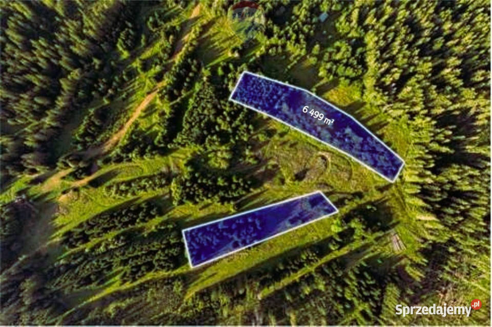 Działki Rolne Sprzedaż Dzianisz 34m