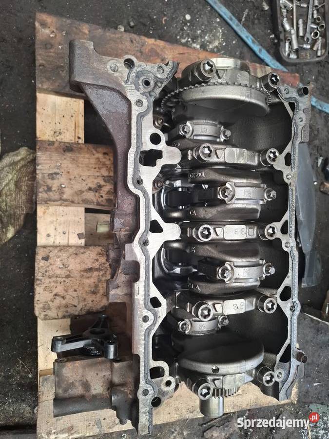 FORD TRANSIT MK8 20 TDCI YNF6 silnik dół blok świętokrzyskie