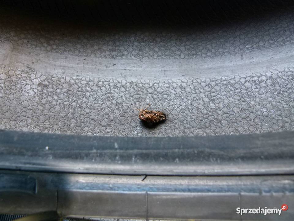 Opony Duraturn Mozzo Touring 21550 R17 letnie Zamość sprzedam