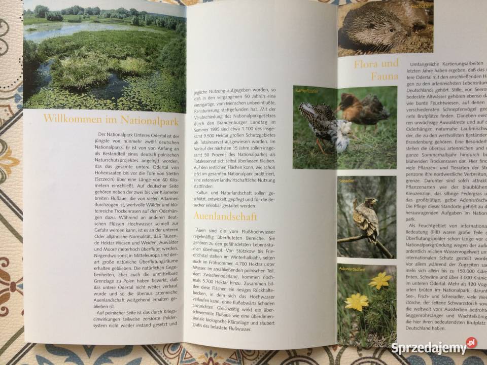 3782 Park Narodowy Dolina Dolnej Odry Szczecin