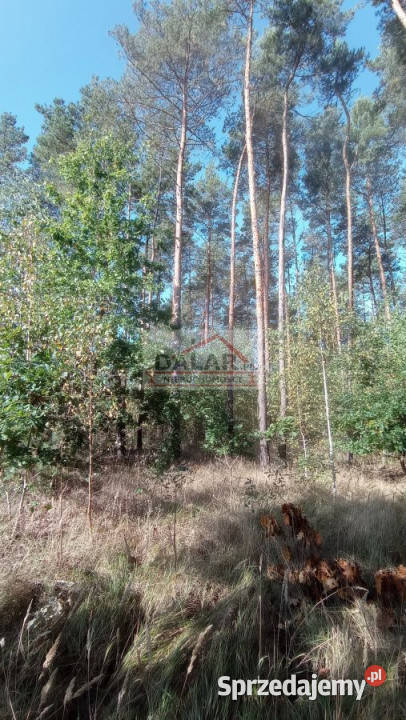 Grunt Czaplinek Grójecka 13400m2